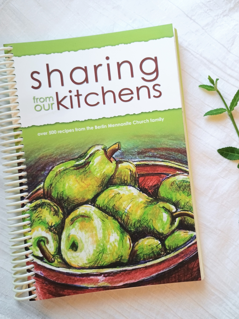 🍅 FOOD CORE 🍅 2010 Mennonite Cookbook, Amish, Clean Cooking, Farm Core